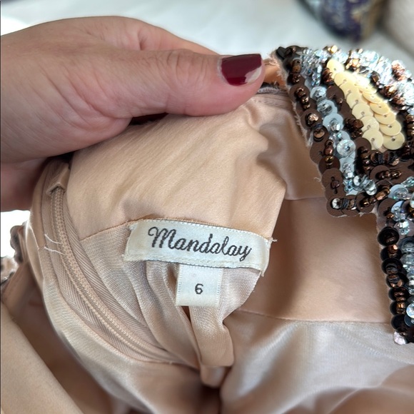 Mandalay Champagne  blush Halter Maxi Dress - Picture 2 of 13